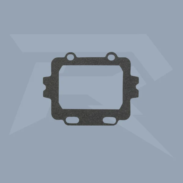 Vforce 3 gasket for 62T